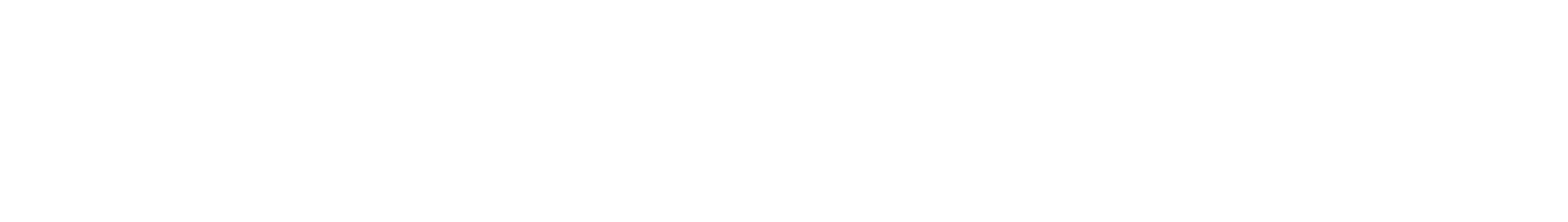 Lincoln Data Consulting